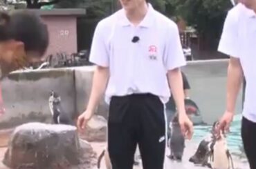 立ち方がもうペンギンなのよ笑笑かわちい、、、
#木全翔也
#kimatasyoya #jo1…