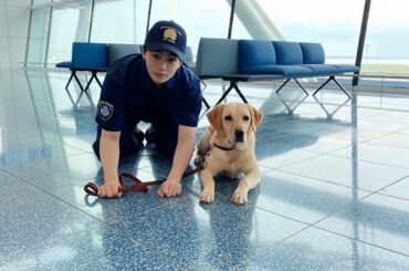 日本テレビ THE突破ファイル
鶴房汐恩が出演させていただきました！  ありがとうございました！  #JO1 #鶴房汐恩