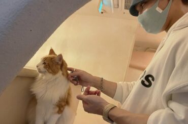 [#與那城奨]
僕のJ-LOGは念願の、、、
みんなYouTube見てね〜  #JO1 #YONASHIROSHO