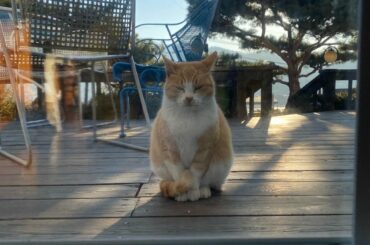 [#木全翔也]
蓮くんお誕生日おめでとうだぜ！  25歳はさらにニコニコしていこうぜ！  #HAPPYRENDAY
#JO1 #KIMATASYOYA