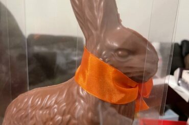 [#金城碧海]
俺は犯人を知っている。  #JO1 #KINJOSUKAI