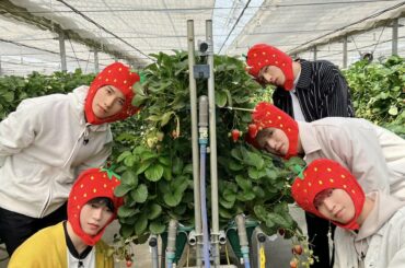 [] いちごちゃんたち  #JO1 #Hi_JO1