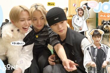 [Hi! JOワンッ] EP.24癒やし回 後編
わんちゃんとまったり〜
(  #JO1 #Hi_JO1