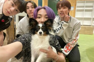 [] #JO1 with わんちゃん  中型犬チーム  #川尻蓮 #川西拓実 #河野純喜 #豆原一成
しれっと #大平祥生 
#Hi_JO1