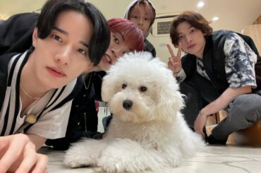 [] #JO1 with わんちゃん  大型犬チーム  #金城碧海 #佐藤景瑚 #鶴房汐恩 #與那城奨
#Hi_JO1