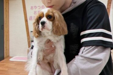 [#鶴房汐恩]
わんわん。
犬と犬でわんわんパラダイス  うるさいわああああ！！！  #JO1 #TSURUBOSHION