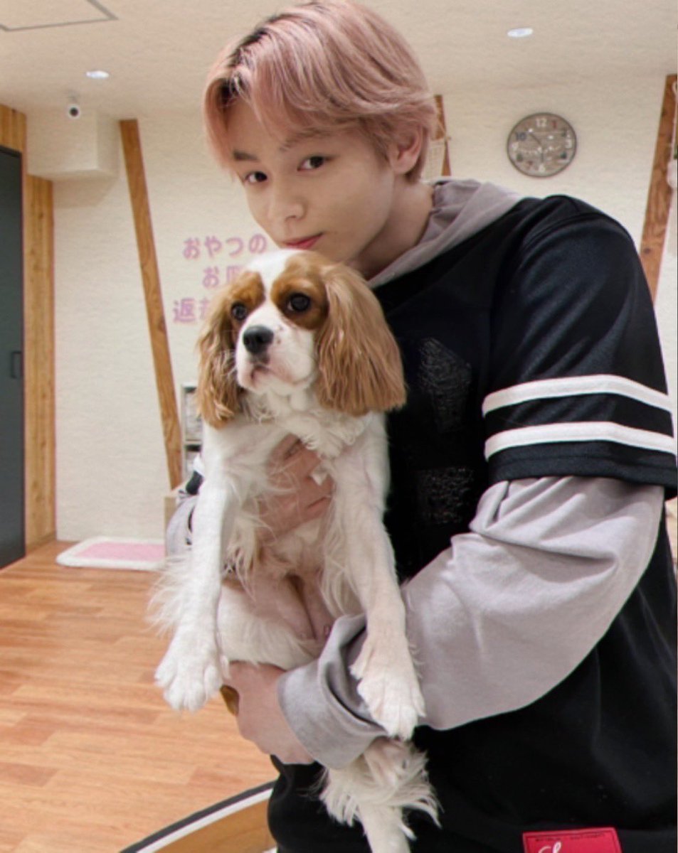 鶴房汐恩 わんわん 犬と犬でわんわんパラダイス うるさいわああああ Jo1 Tsuruboshion Jo1 Fan Club
