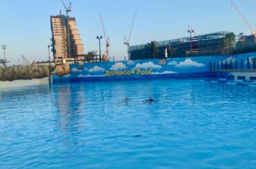 [#鶴房汐恩]
どうも元水泳部です。
特技は水に浮くことと水に触れることです。  #JO1 #TSURUBOSHION