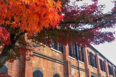 JO1 FCコンテンツ
『JO1交換日記』更新  みなさんこんにちわー！  …続きは
JO1公式HP FCコンテンツ
『RELAY BLOG』よりチェックして下