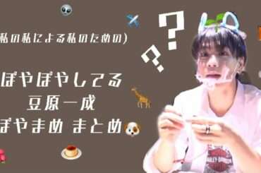 ぽやぽやしてるまめまとめ【豆原一成】