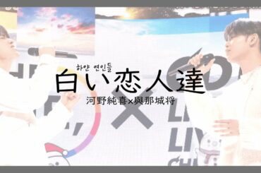 河野純喜x與那城奨(코노준키x요나시로쇼) - 白い恋人達