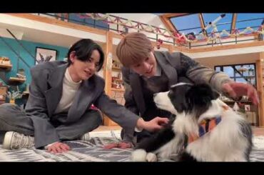 JO1 與那城奨🌺佐藤景瑚🦒かわいい犬🐶