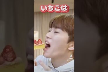 けごパパとしょうやくんシリーズ第2弾🦒🐰#jo1 #shorts #おすすめ #fyp #佐藤景瑚 #木全翔也 #愛知ズ #名古屋ブラザーズ