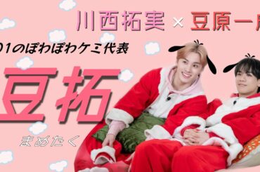 【JO1】ぽわぽわケミ 豆拓のHealing動画🌿 【豆原一成】【川西拓実】