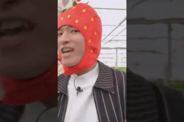 🎼🍓いーちいーちいちごっごー🎶そういえばこの人達アイドルだったw  #JO1  #Hi_JO1 #川尻蓮 #佐藤景瑚 #大平祥生 #金城碧海 #豆原一成