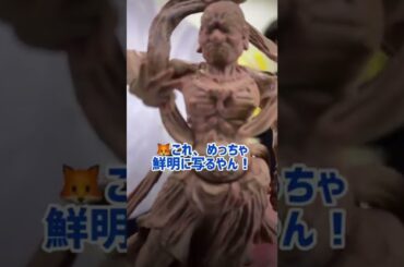 ファミリー感の強いJO1の長男次男三男の会話　#JO1 🌺長男 #與那城奨 🦊次男 #川尻蓮 👑三男 #白岩瑠姫 #豆原一成