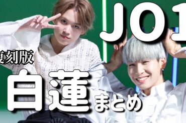 JO1 | 白蓮 | 美しいを楽しみたい方必見！ 極上の美をお届けします。