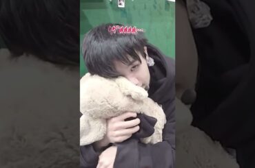 JO1のまめこと豆原一成くん。#jo1 #shorts #おすすめ #fyp #豆原一成