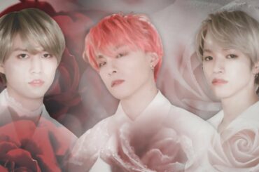 JO1川西拓実/大平祥生/白岩瑠姫-Mi Amor