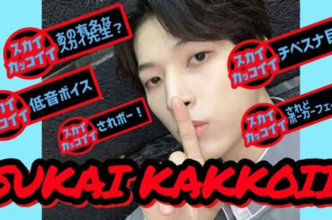 【金城碧海】スカイKAKKOII