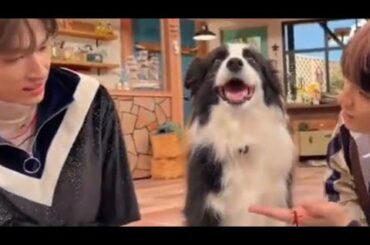 鶴房 汐恩 & 金城 碧海 👽✈️🐕 slow easy show