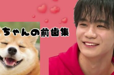 前歯しまい忘れちゃう豆ちゃんww