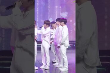 【川西拓実】伝えられるなら　推しカメラ