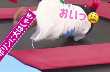 最近の純拓集！