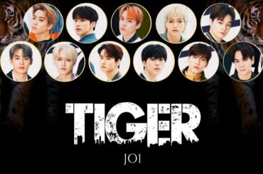 JO1 'TIGER' LYRICS [JPN/ROM/IDN]