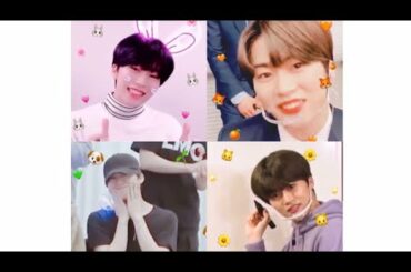 木全翔也の沼。🐰