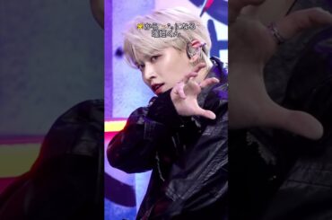 トラネコるる🐯🐈👑#白岩瑠姫#Tiger#JO1