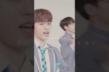 【JO1】木全翔也 ｜胡蝶蘭