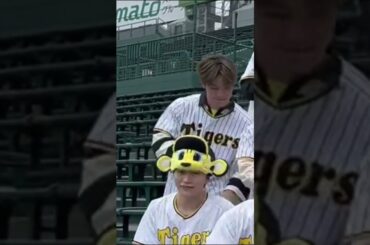 JO1 與那城奨 #阪神甲子園球場 にて #Tiger 🐯Tiktok