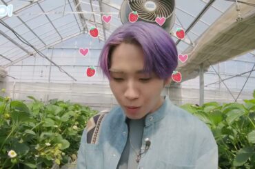 [#Hi_JO1] EP 14🍓イチゴ狩り対決🍓前編 JO1 川尻蓮 Short cut