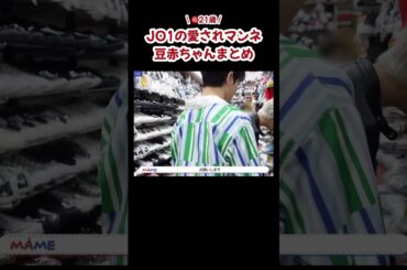 JO1の愛されマンネ豆原一成まとめ①🐶 #jo1 #おすすめ #豆原一成 #fyp #shorts