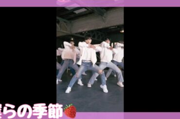 JO1-僕らの季節【チッケム/川西拓実🍓FAN CAM/Kawanishi Takumi】