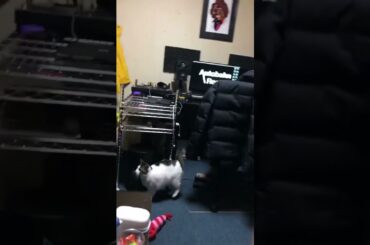 川西拓実 of JO1 #JO1 #川西拓実