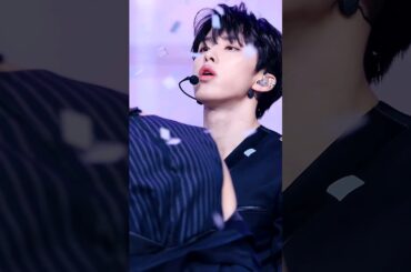 꽃가루가 입에 붙어도 막지 못하는 잘생김 | 코노 준키 河野純喜 #JO1