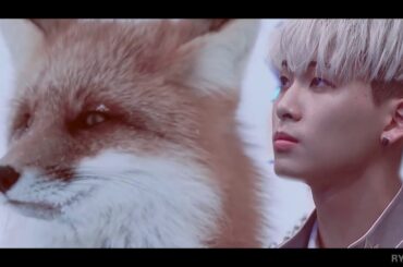 「FMV」He stole my heart丨川尻蓮 with fox丨Kawashiri Ren丨JO1