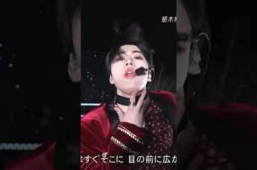 【木全翔也focus】JO1｜’Tiger’ イルミネーションステージ 231218