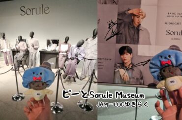 【JAM−LOG】#ソルレ Slorule Museum  ８分一緒に見よう🌸【#ゆきらく 240219】  #JO1 #JO1_AQUA #川尻蓮 #金城碧海 #Sorule #jam活