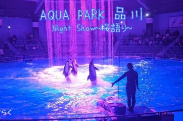 【アクアパーク品川】Dolphin Showイルカ🐬パフォーマンス〜桜語り🌸〜【#jo1 】#JO1聖地 #jam活 #川尻蓮