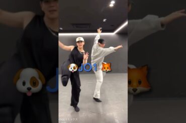 【JO1】🐶豆&蓮🦊息ぴったり👍#豆原一成#川尻蓮