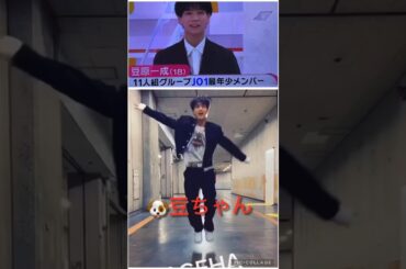 【JO1】🐶豆ちゃんのAGEHA楽しそう😆#豆原一成