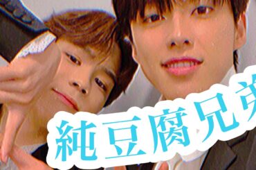 最強な兄弟"純豆腐兄弟"のお話#jo1 #河野純喜 #豆原一成