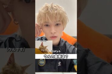 ウルの由来🐱 #jo1 #ジェイオーワン #金城碧海