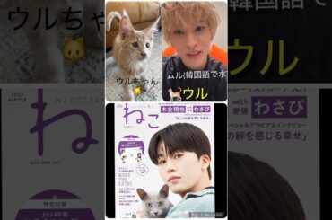 【JO1】🐱猫の日に🐈ウルちゃん公開😍わさびちゃんも🐈‍⬛#金城碧海 #木全翔也