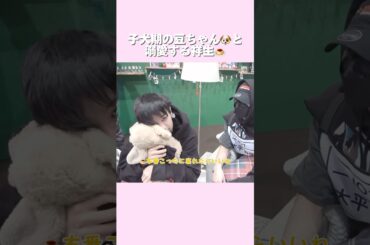 祥生がお兄ちゃんできる唯一の弟豆ちゃん🐶そりゃこんなん可愛いよね　#jo1 #豆原一成 #大平祥生 #かわいい