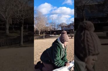 Syoya core(part2)素材が多すぎる木全翔也 #jo1 #木全翔也 #syoya #core #かわいい #おもしろ