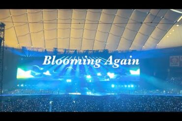 【fancam】Blooming Again ˖ ࣪⊹｜JO1 in Tokyo Dome
